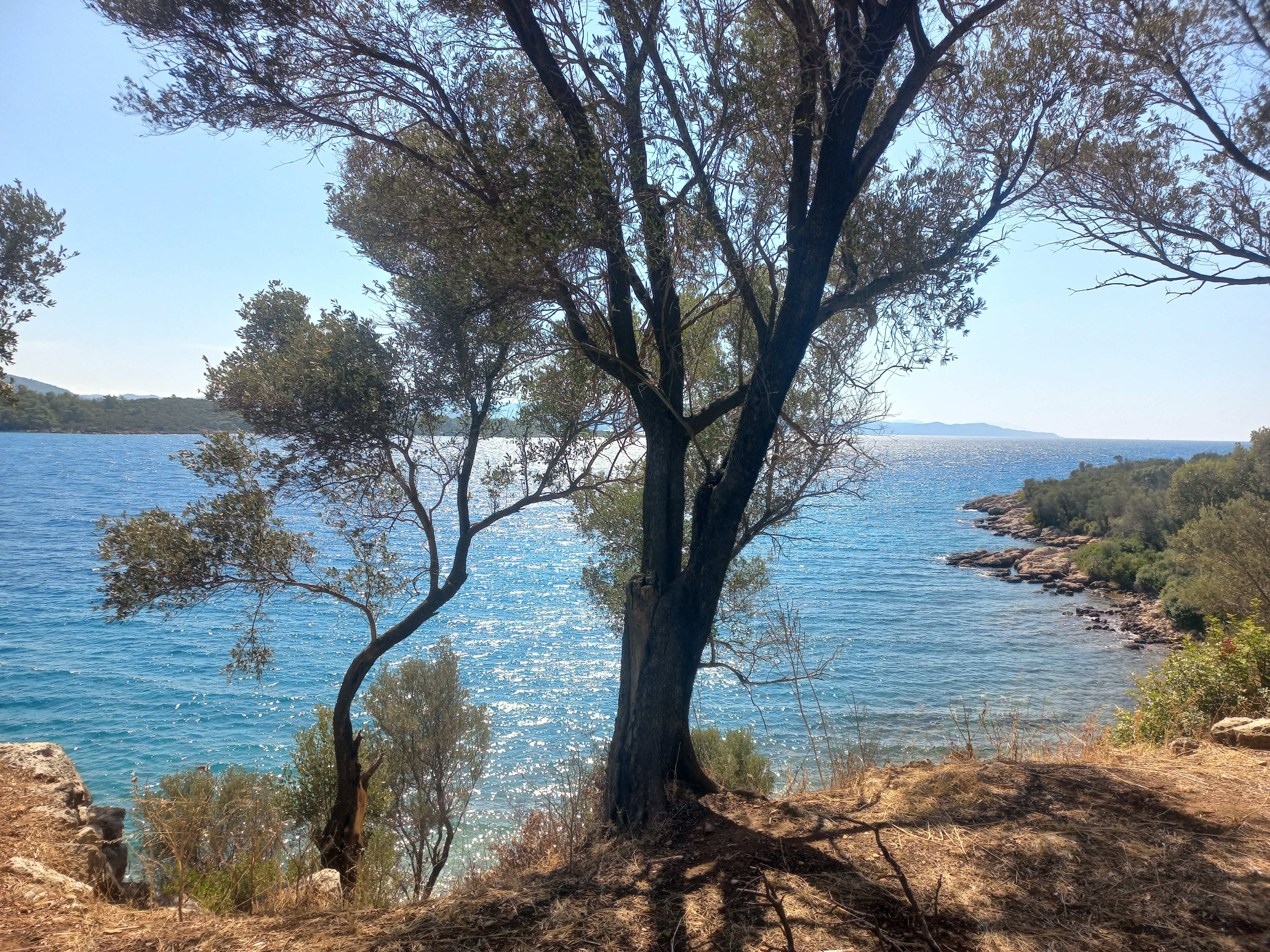 İÇİMDE DÜNYALAR VAR.